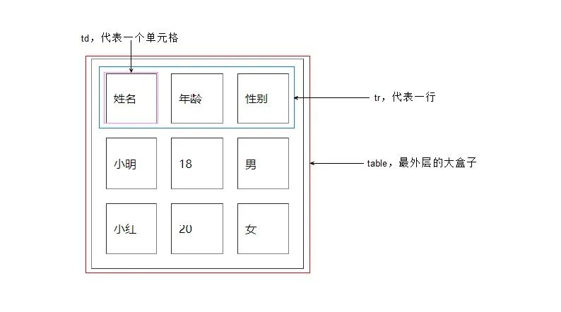 表格